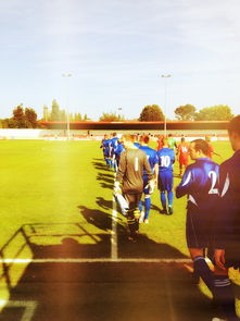 开云app-2024年国际乒联混合团体世界杯：印度队表现大放异彩，2024年乒乓球世锦赛  第2张