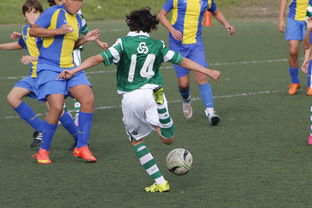 开云体育登录-体育新闻中心发布体育内容原创度评估智能工具，原创体育sports