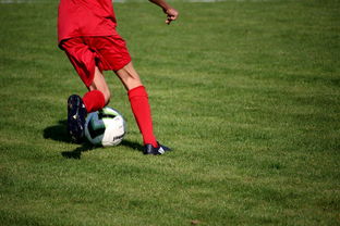 开云体育官网-冬奥场馆智能系统协助运动员热身训练，冬奥会设备